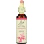 BACH ORIGINAL FLOWER REMEDIES: Crab Apple, 0.7 oz