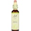 BACH ORIGINAL FLOWER REMEDIES: Olive, 0.7 oz