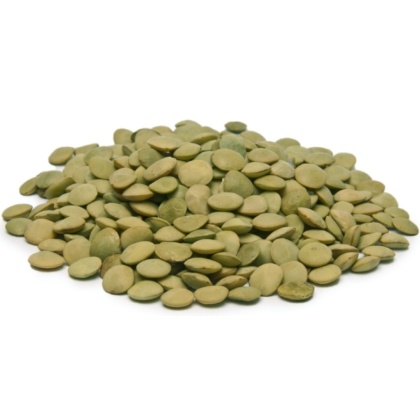 BULK BEANS: Beans Green Lentil Organic, 25 lb