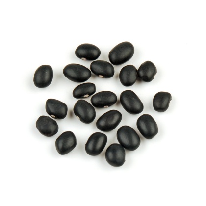 BULK BEAN: Black Turtle Organic, 25 lb