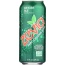 ZEVIA: Soda Ginger Ale, 16 fo