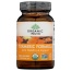 ORGANIC INDIA: Turmeric Formula, 90 veggie caps